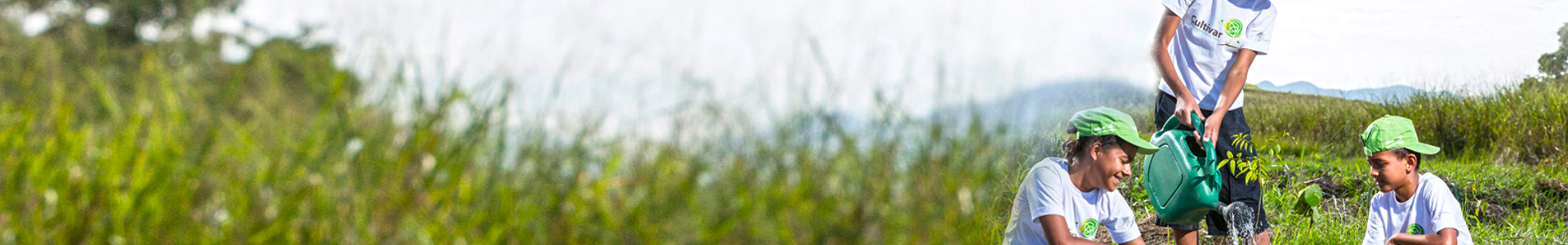 page banner